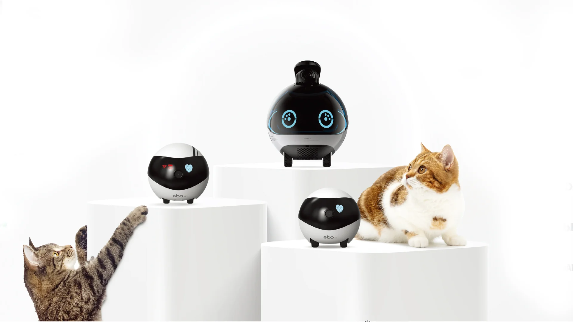 EBO Collections - Home Robots