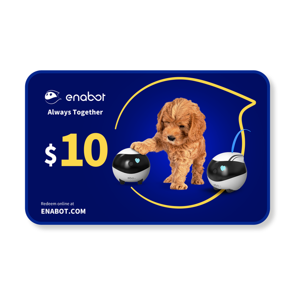 Enabot Gift Card