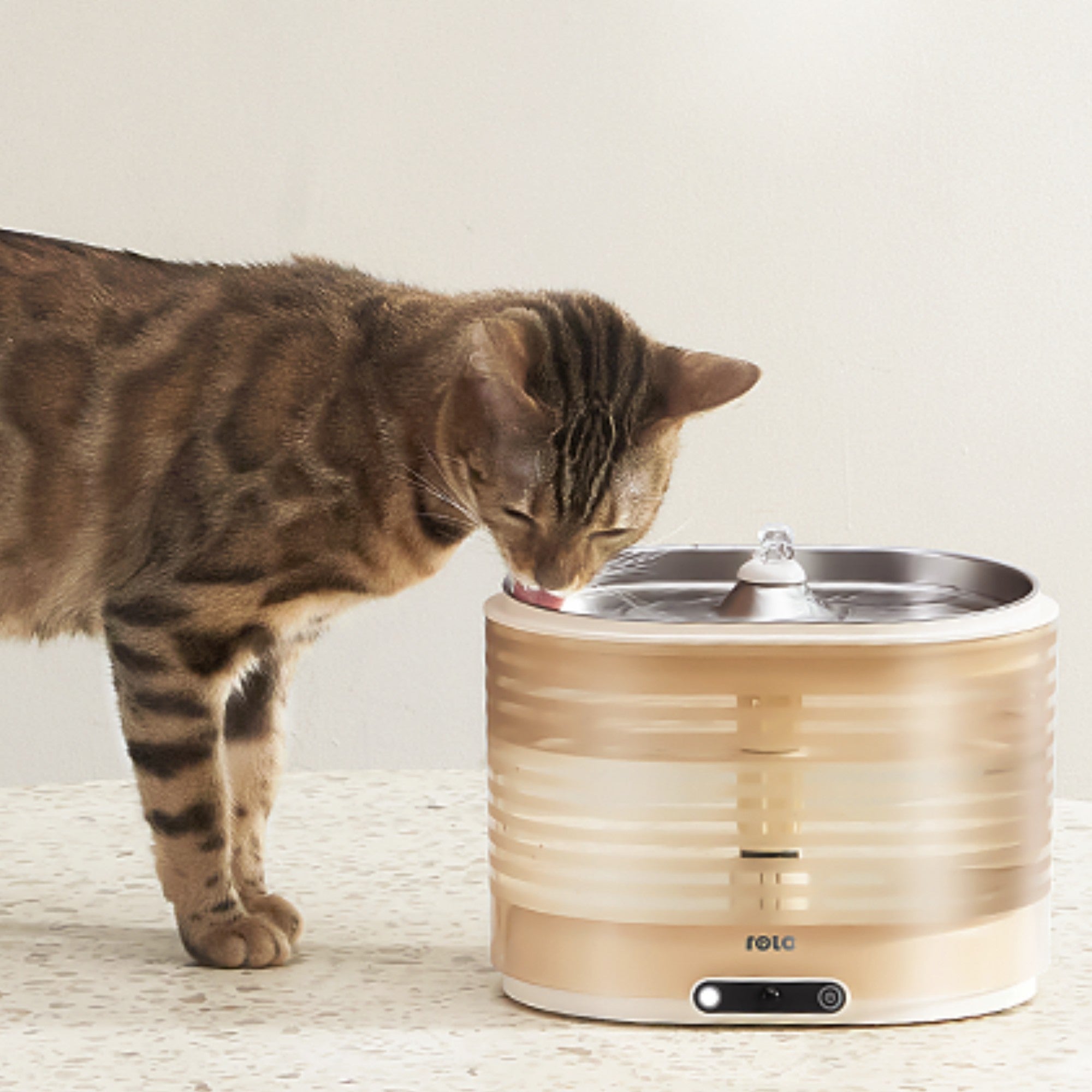 Pet water fountain best sale