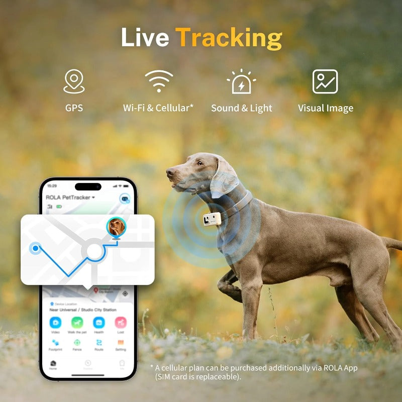 Cellular dog tracker best sale