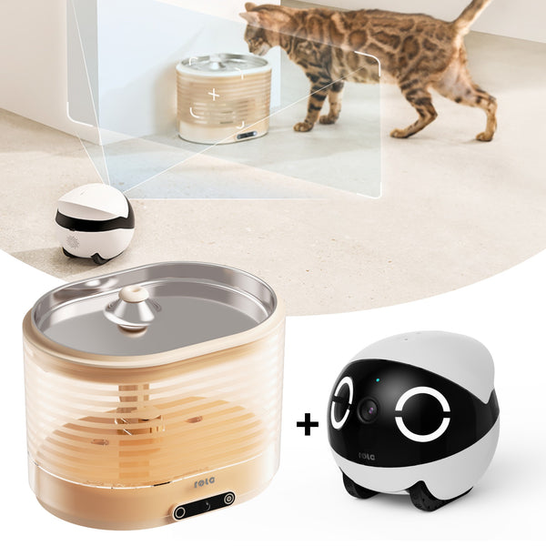 ROLA Mini & Smart Water Fountain