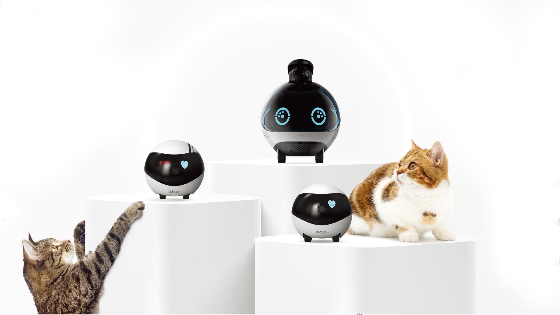 Enabot - Advanced AI Guardian Robots for Family and Pet – Enabot Store