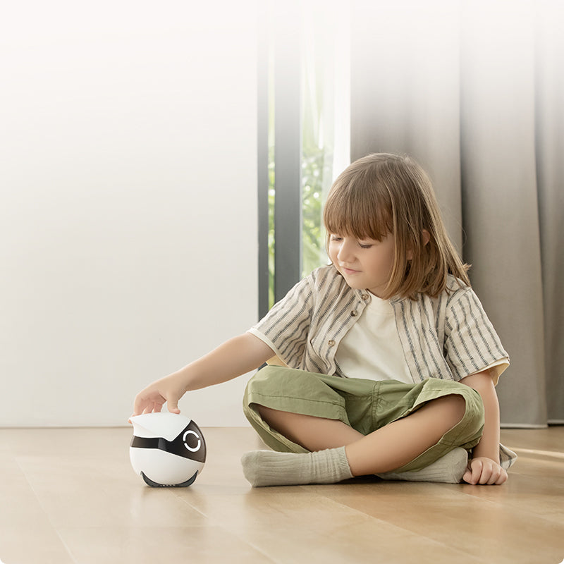 ROLA Mini companion robot 2-way audio