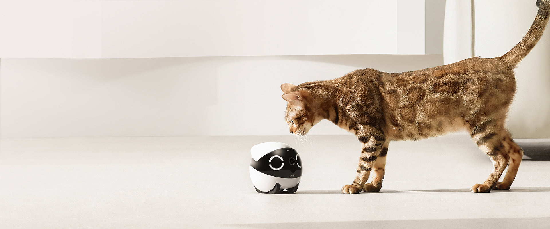 Companion pet cat robot best sale