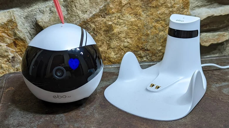 Enabot EBO Air Review: Clever Robot Cat Companion